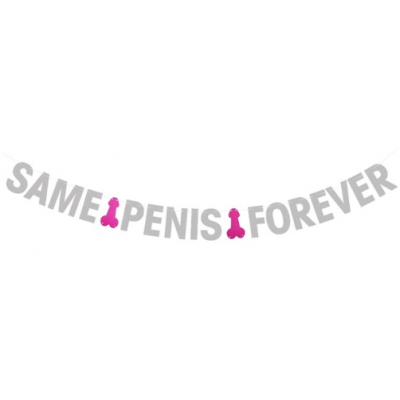 Banner - Same Penis Forever Glitter Silver with Pink Peckers